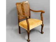 A Bergere style armchair with cane back & ball & claw cabriole front legs