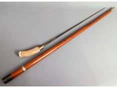 A Malacca sword stick with horn handle, 43.5in lon