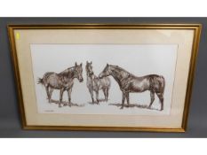 A gilt framed Norman Hoad equine crayon, image siz