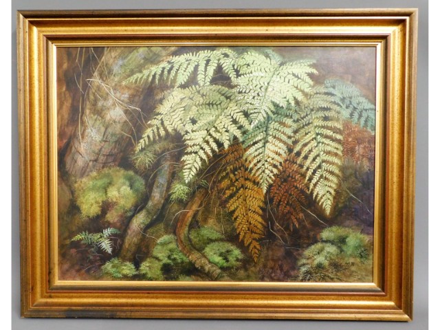 A gilt framed oil on panel of fern by Charles Summ