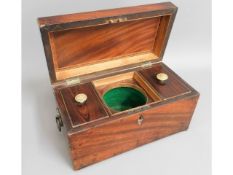 A Regency period tea caddy, 12in wide x 6.25in hig