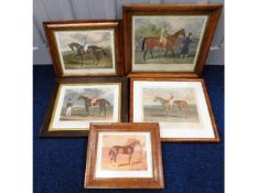 Five Victorian equine prints in birds eye maple fr