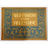 Book: Wild Flowers of Palestine 1899 by Rev. Harve