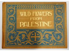 Book: Wild Flowers of Palestine 1899 by Rev. Harve