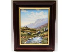 A small framed oil on canvas depicting Dartmoor ri