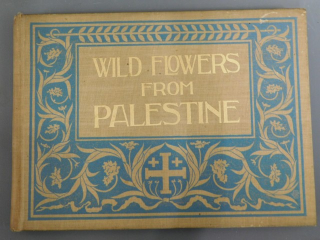 Book: Wild Flowers of Palestine 1899 by Rev. Harve