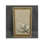 A framed botanical watercolour by Marjorie Blamey,