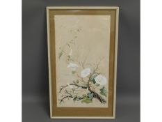 A framed botanical watercolour by Marjorie Blamey,