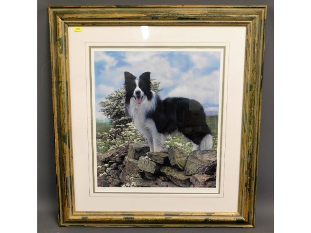 "Trooper" - A framed hand signed Steven Townsend l