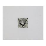 A loose princess cut diamond, approx. 4mm x 4mm x