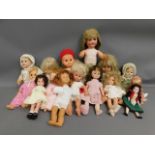 A quantity of 15 mixed dolls including Pedigree &