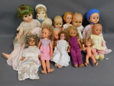 A quantity of 14 mixed dolls including Pedigree, C