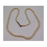 A cultured pearl necklace with 9ct gold clasp, 17i