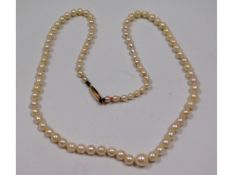 A cultured pearl necklace with 9ct gold clasp, 17i