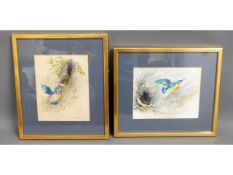 A pair of framed watercolours of kingfishers by Wi