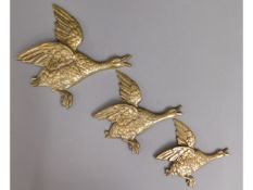 Three 1930's graduated brass ducks, largest 12in w