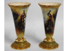 A pair of antique Royal Worcester gilded hand painted vases depicting peacock signed by F. J. Bray,