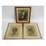 Three framed watercolours of birds, owl painting 1