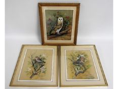 Three framed watercolours of birds, owl painting 1