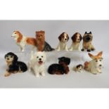 A collection of Sylvac dog models, tallest 5.5in,