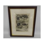 A framed Louis Wain print "Bone of Contention"
