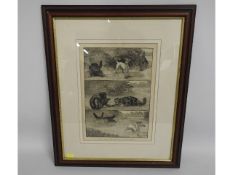 A framed Louis Wain print "Bone of Contention"