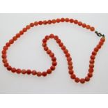 An antique coral beaded necklace, 19.6g, 16in