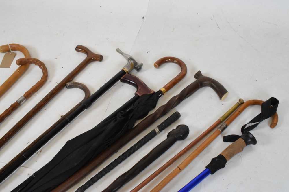 Quantity of walking sticks and canes - Image 3 of 7