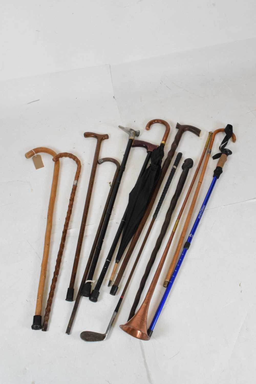 Quantity of walking sticks and canes - Image 2 of 7