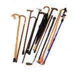 Quantity of walking sticks and canes