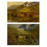 Pair Highland cattle prints