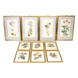 Four prints of Orchids, together with a quantity of botanical prints, framed and glazed