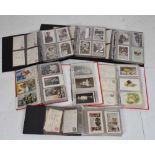 Quantity of postcards in seven albums