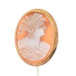 Shell cameo brooch