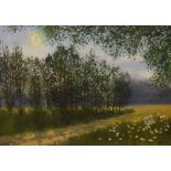 D. Haddow - Watercolour - Woodland landscape