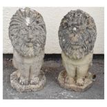 Pair of stone-effect garden lions