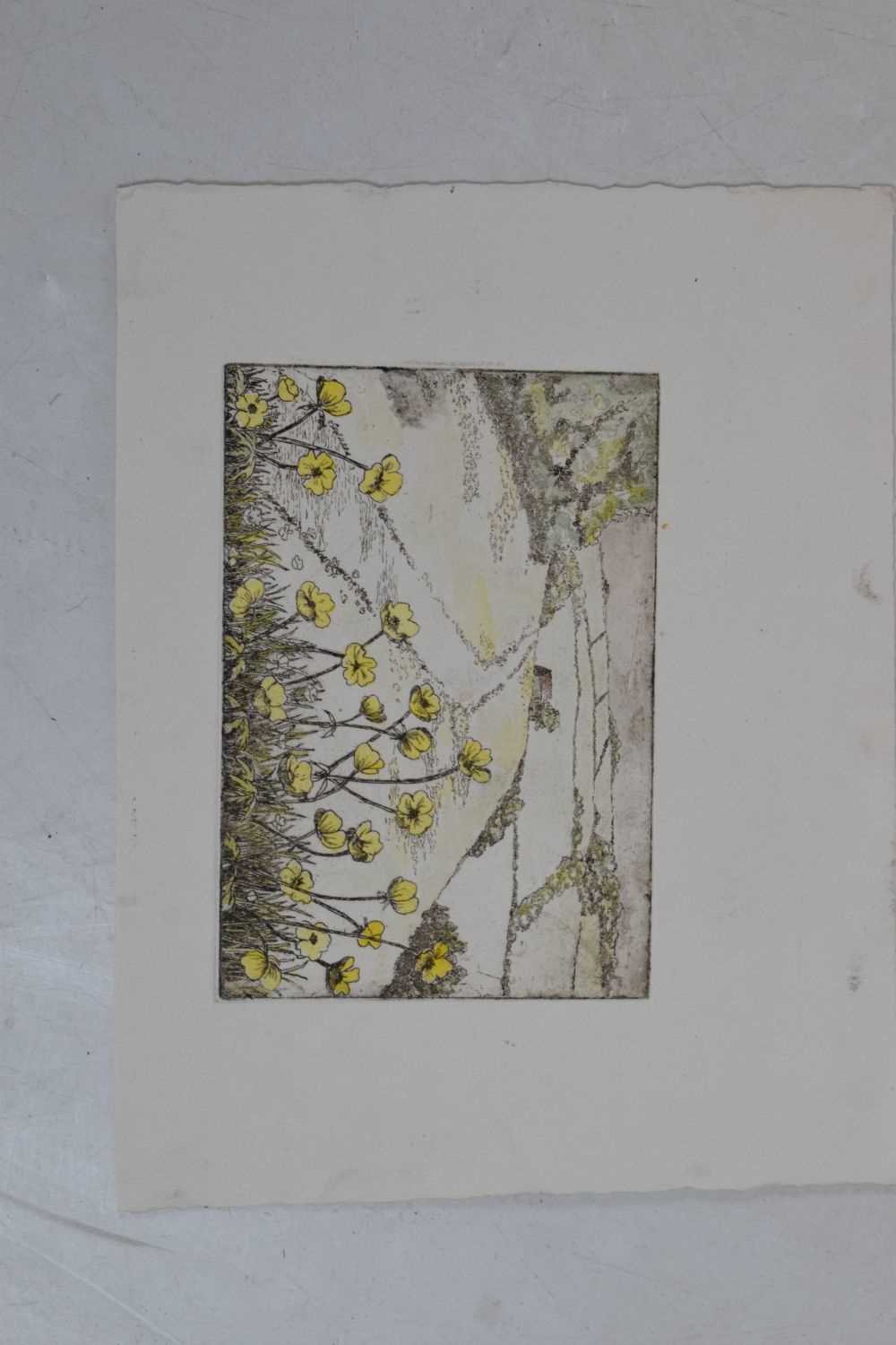 Betty Silburn, (1925-2020) - Large quantity of unframed prints - Image 4 of 6