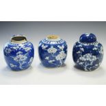Three Chinese porcelain ginger jars with prunus decoration