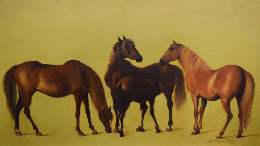 John Edward Taylor - Oil on board - Study of three horses