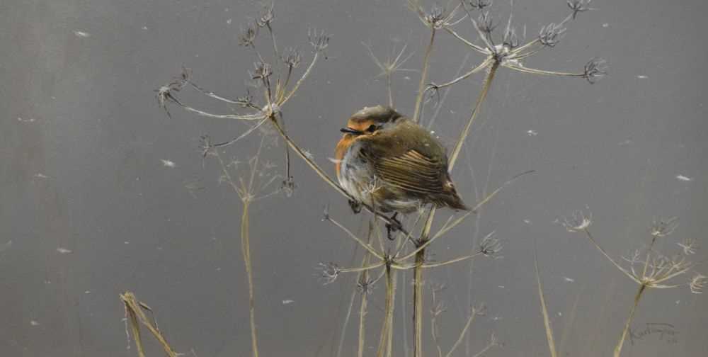 Karl Leckay Taylor - Oil on board - Study of a Robin