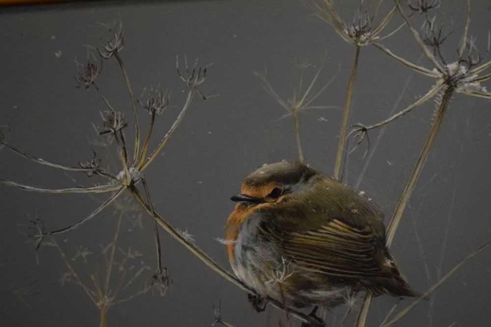 Karl Leckay Taylor - Oil on board - Study of a Robin - Image 4 of 6