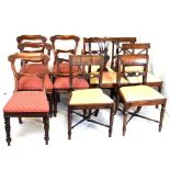 Eleven various dining chairs