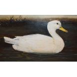 Naive oil on board - Study of a duck