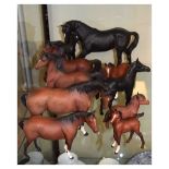 Beswick Connoisseur Figure - Black Beauty and Foal, etc