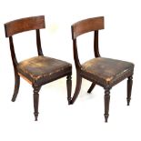 Pair of William IV dining chairs
