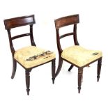 Pair of Regency dining chairs