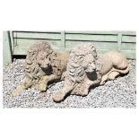 Pair of composite stone garden lions in recumbent posture