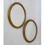 Pair of gilt-framed wall mirrors