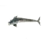 Early 20th Century Spanish silver articulated fish