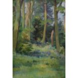 Peter Swan RWA - Oil on canvas - Woodland scene